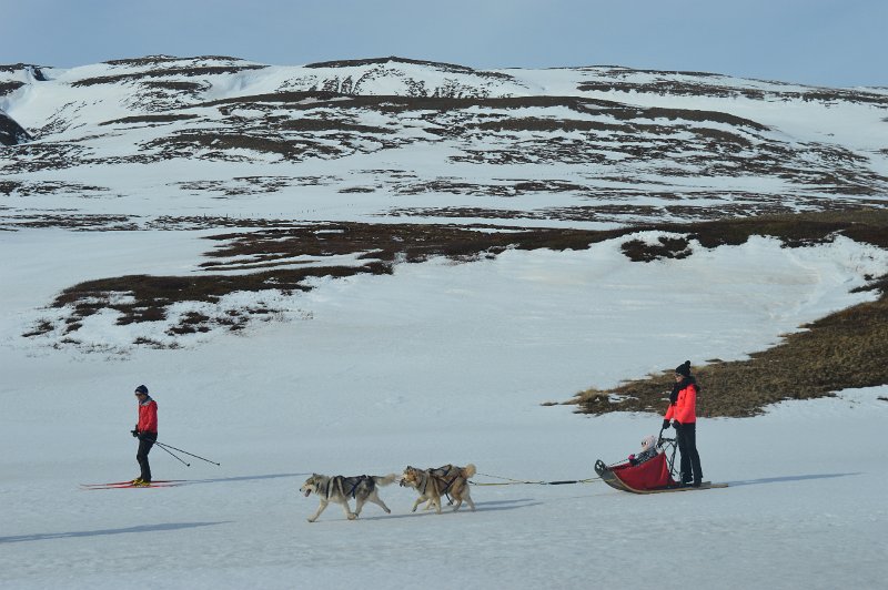 Dog sledding (08).JPG